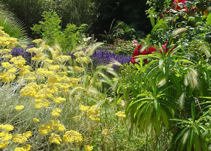 Alojamento de Acomodação e Pequeno-almoço 